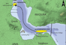 Peneliti Universitas Leiden Telusuri Jejak Homo Erectus dari Selat Madura